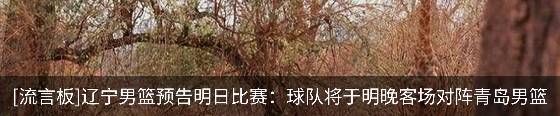 资讯中心